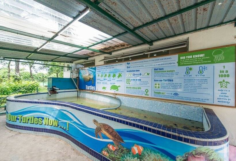 Otel Glory Beach Resort