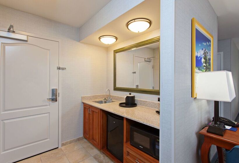 酒店 Hampton Inn & Suites Clovisairport North