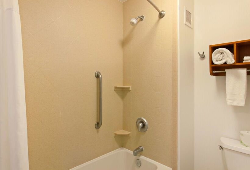 酒店 Hampton Inn & Suites Clovisairport North