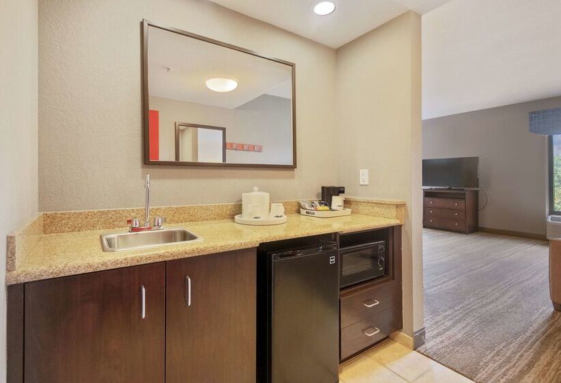 בית מלון כפרי Hampton Inn & Suites Orlandoapopka