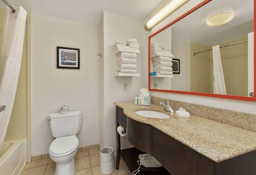 בית מלון כפרי Hampton Inn & Suites Orlandoapopka