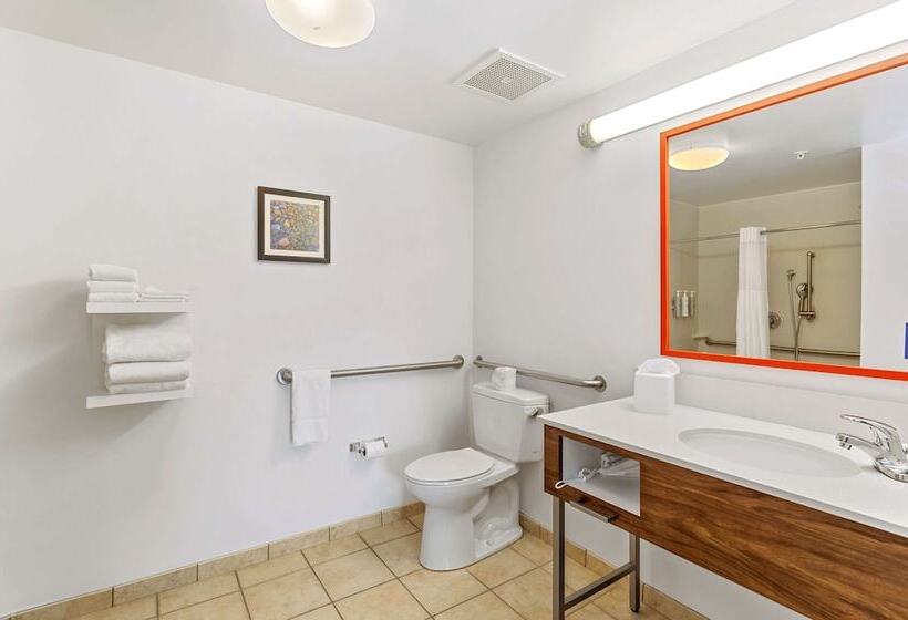 בית מלון כפרי Hampton Inn & Suites Orlandoapopka