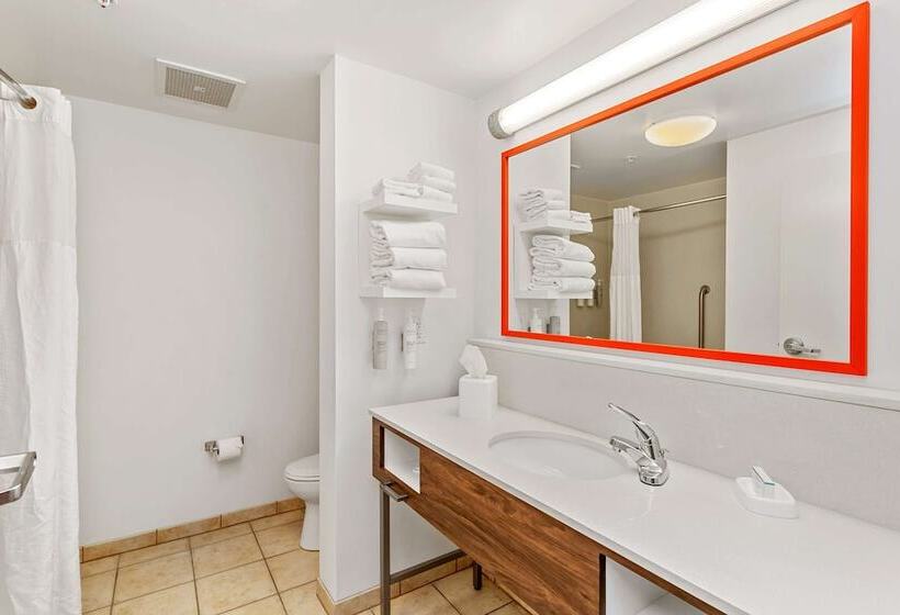 فندق Hampton Inn & Suites Orlandoapopka