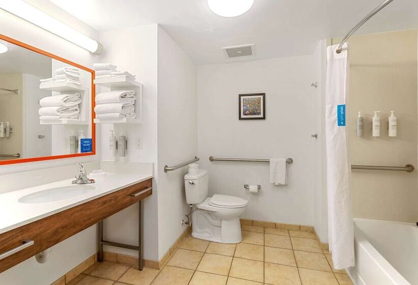 בית מלון כפרי Hampton Inn & Suites Orlandoapopka