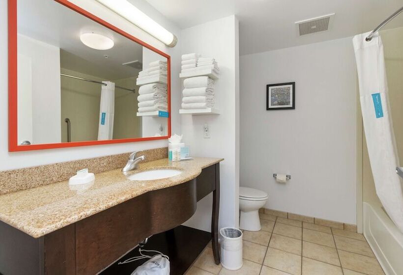 فندق Hampton Inn & Suites Orlandoapopka