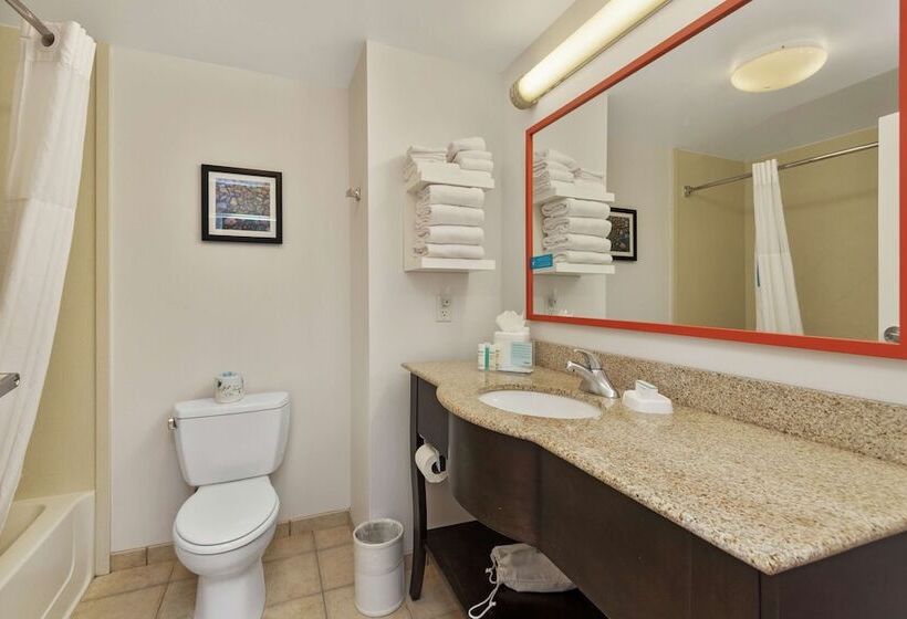 בית מלון כפרי Hampton Inn & Suites Orlandoapopka