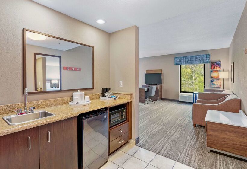 בית מלון כפרי Hampton Inn & Suites Orlandoapopka