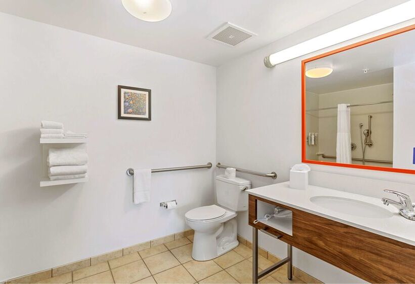 בית מלון כפרי Hampton Inn & Suites Orlandoapopka