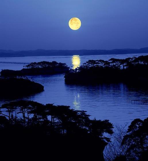 فندق Shintomi Tei