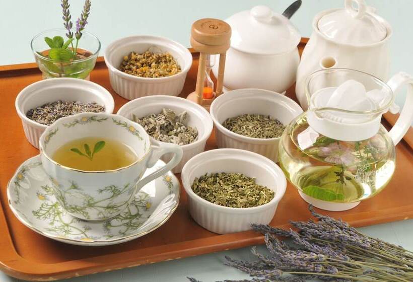 فندق Hashidate Bay