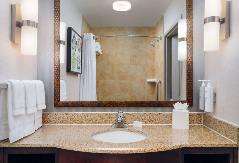 ホテル Hilton Garden Inn El Paso Airport