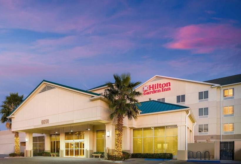 ホテル Hilton Garden Inn El Paso Airport