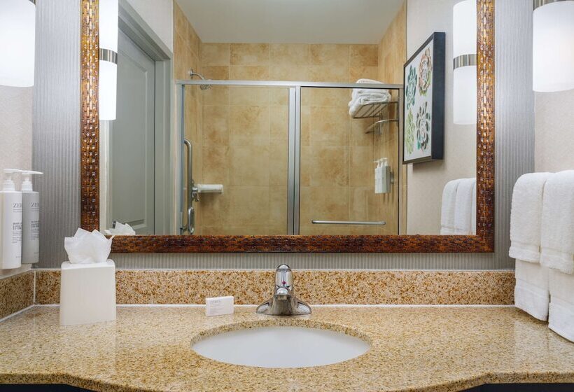 ホテル Hilton Garden Inn El Paso Airport