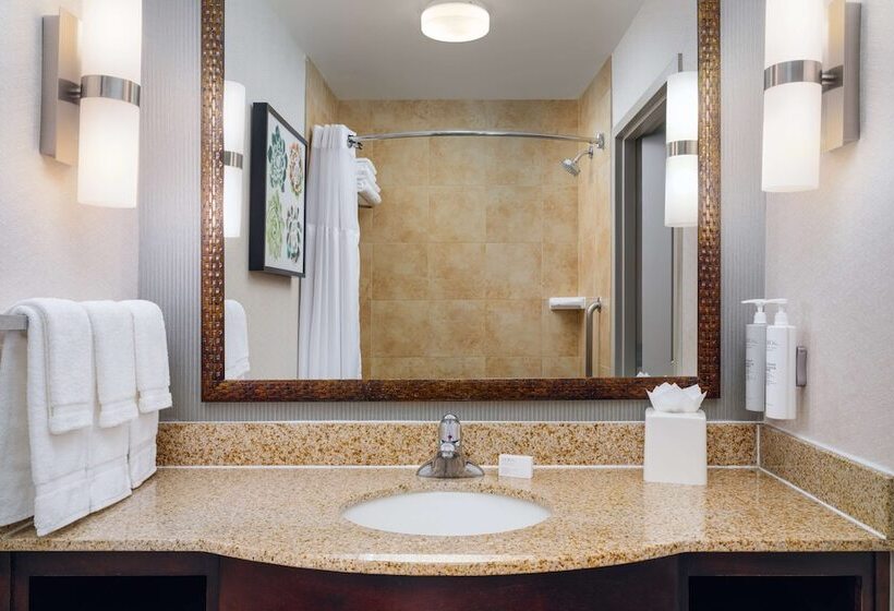 ホテル Hilton Garden Inn El Paso Airport