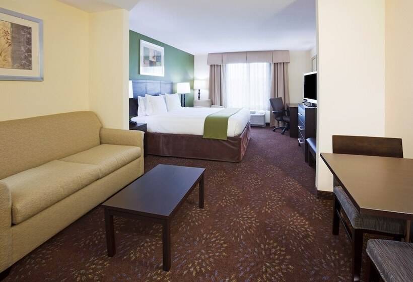 هتل Holiday Inn Express And Suites Rochester West Medical Center, An Ihg