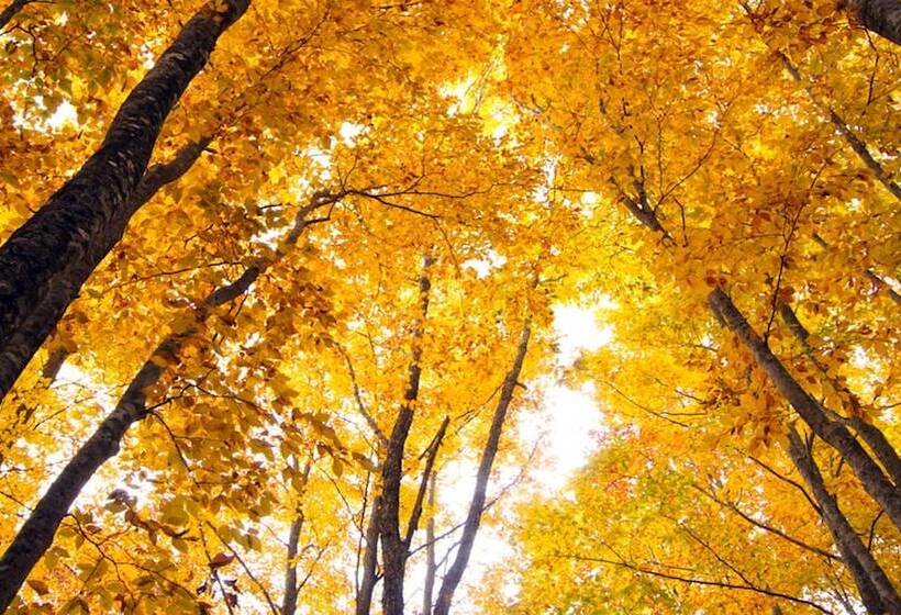 فندق Holiday Inn Resort Appi Kogen By Ihg