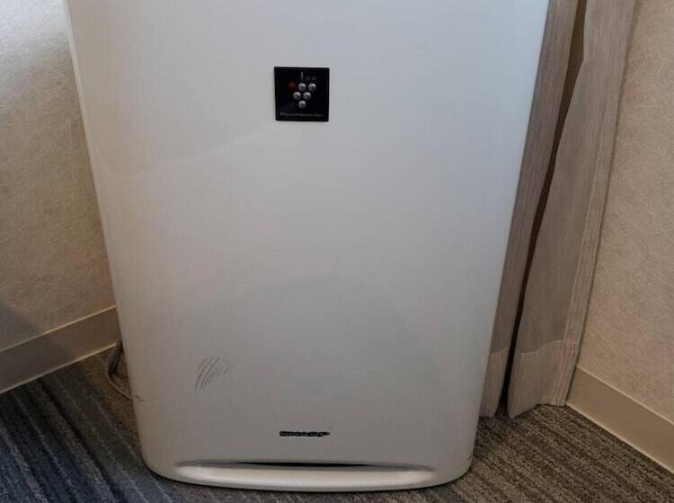 בית מלון כפרי Kochi Prince