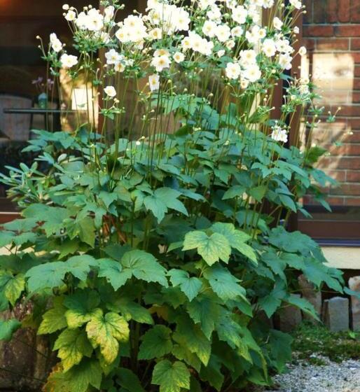 ホテル Kanemidori