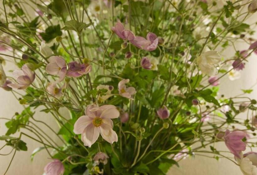 ホテル Kanemidori