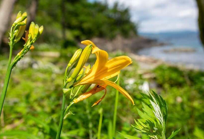 Minami Sanriku Hotel Kanyo