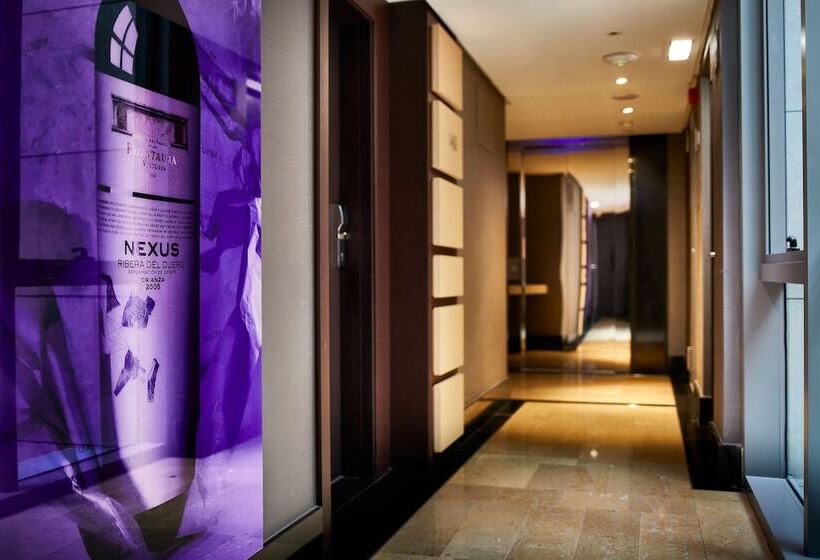 فندق Nexus Valladolid Suites &