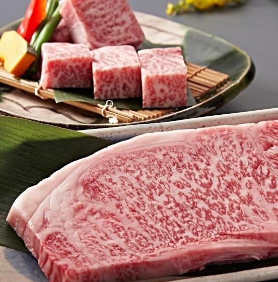 ホテル Kaiyu Notonosho