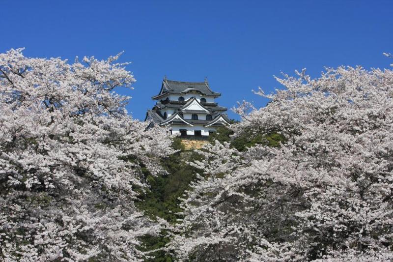 בית מלון כפרי Dantokan Kikunoya