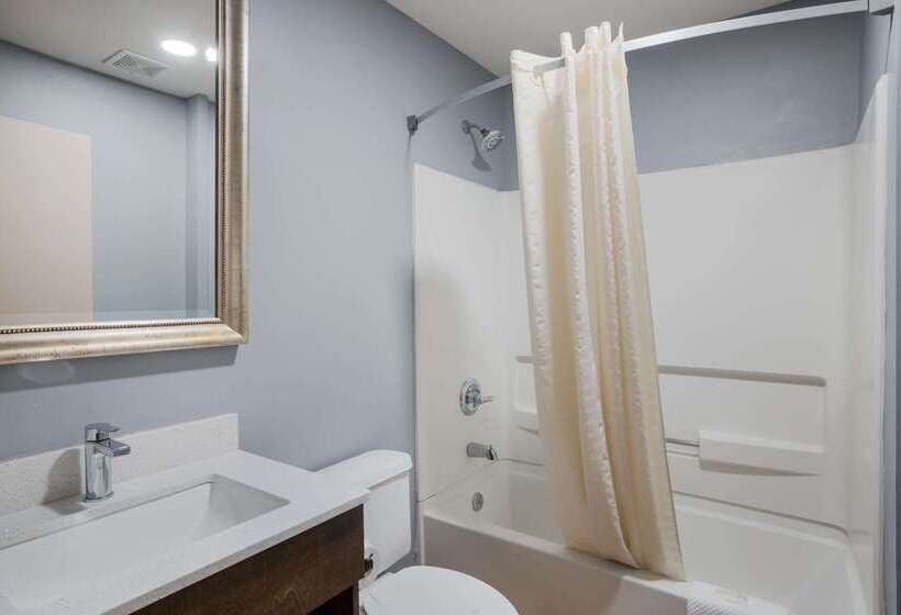 Sonesta Essential Hotels Blue Springs