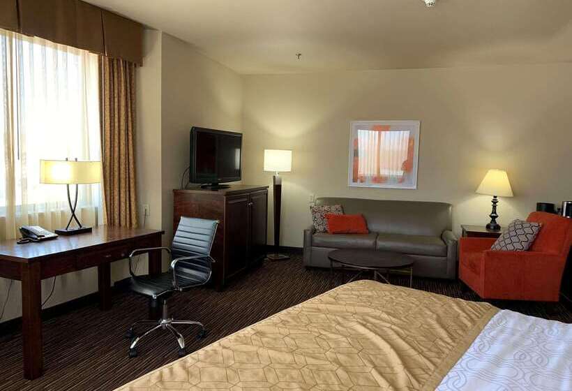 Radisson Hotel River Falls