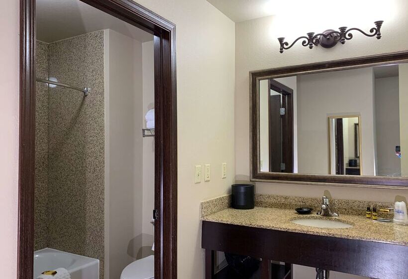 Radisson Hotel River Falls