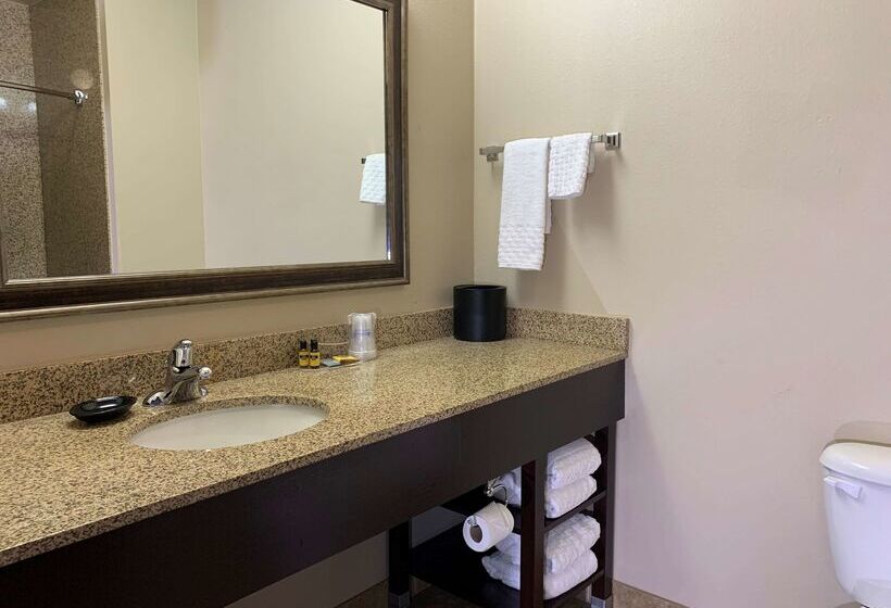 Radisson Hotel River Falls