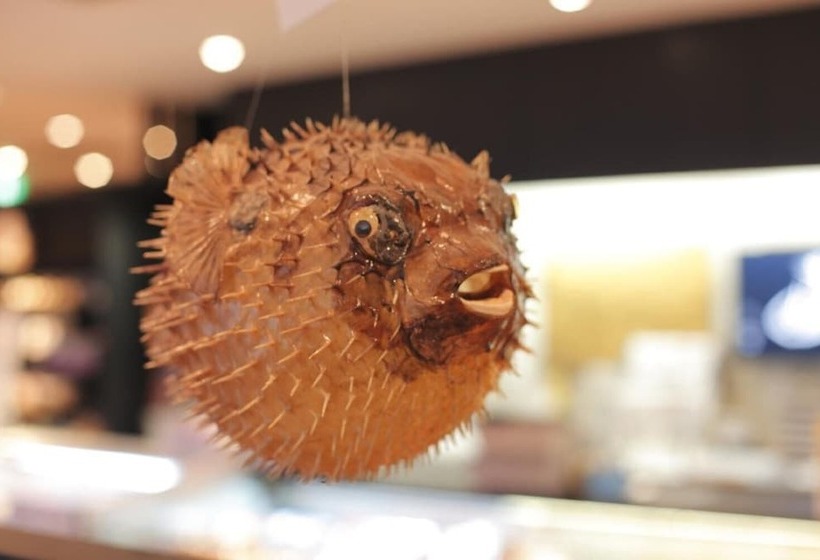 فندق Sekumiya   Vacation Stay 21687v