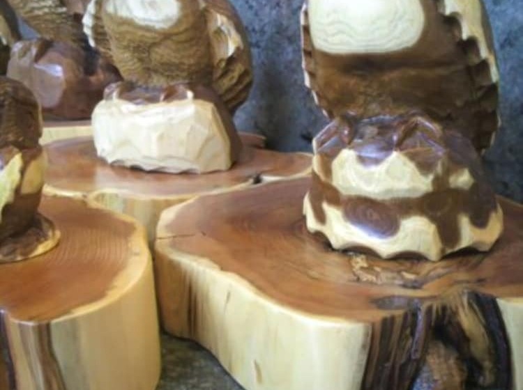 בית מלון כפרי Mount View