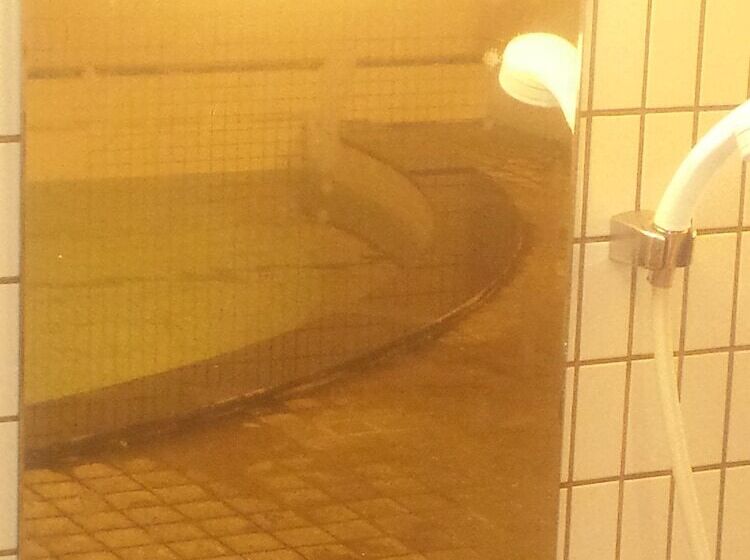 בית מלון כפרי Mount View