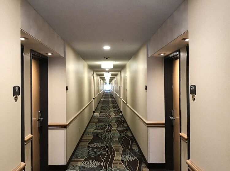 فندق Staybridge Suites Columbia Highway 63 & I 70, An Ihg