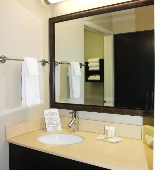 בית מלון כפרי Staybridge Suites Houston   Iah Airport, An Ihg