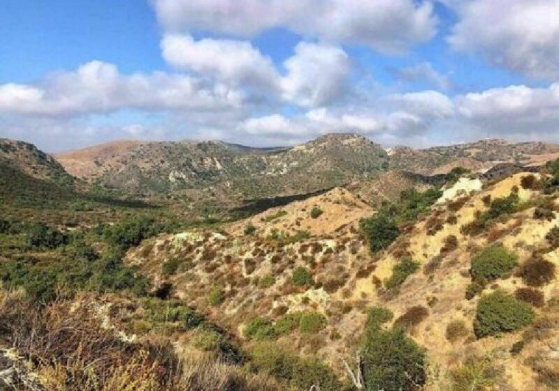 فندق Staybridge Suites Irvine East/lake Forest, An Ihg