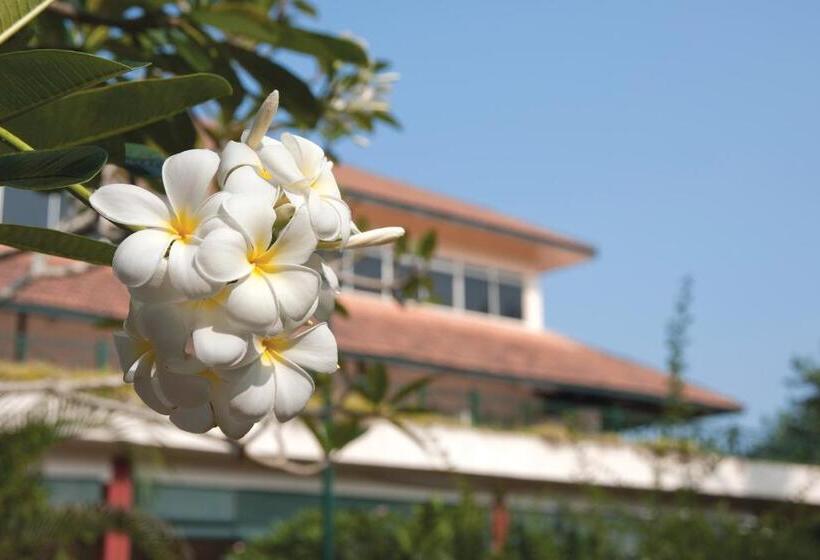 酒店 The Qamar Paka