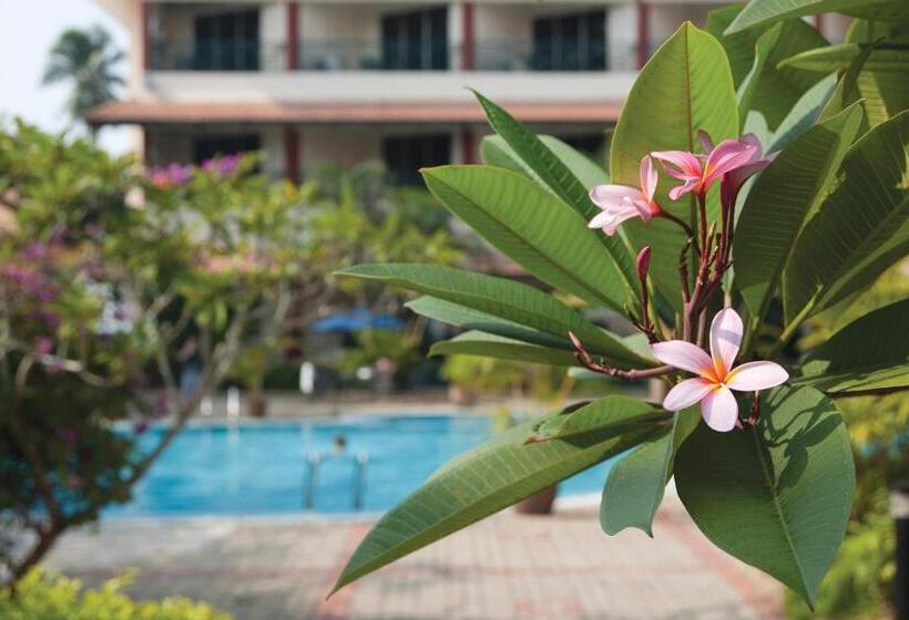 酒店 The Qamar Paka