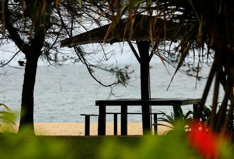 酒店 The Qamar Paka