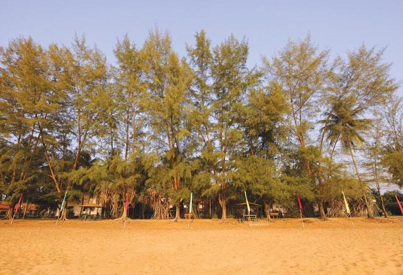 酒店 The Qamar Paka