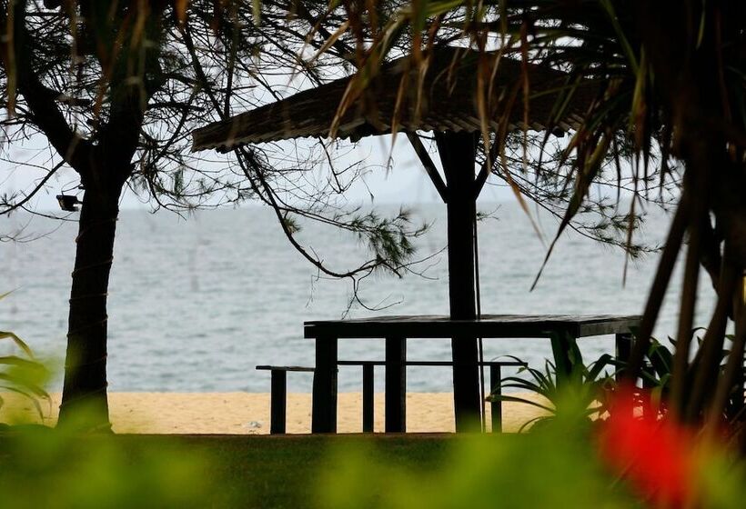 酒店 The Qamar Paka