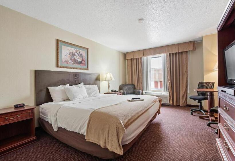 Stay Usa Hotel And Suites