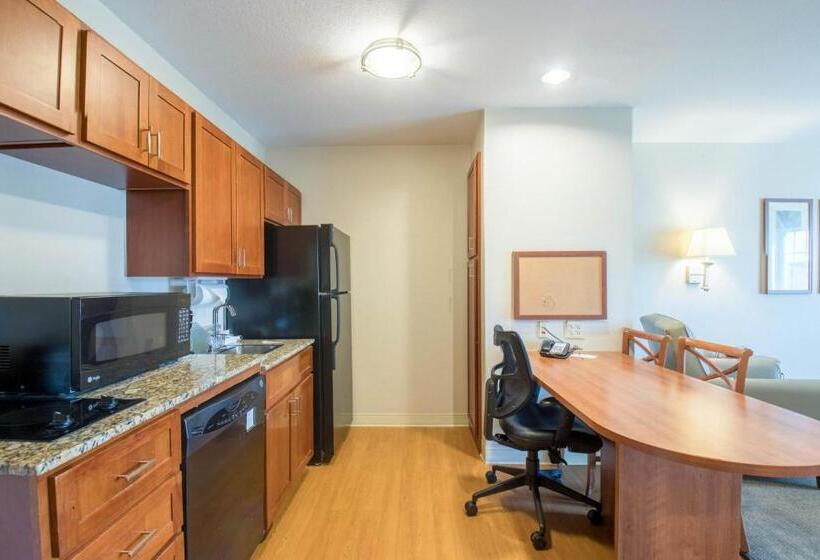 فندق Western Slope Suites Parachute