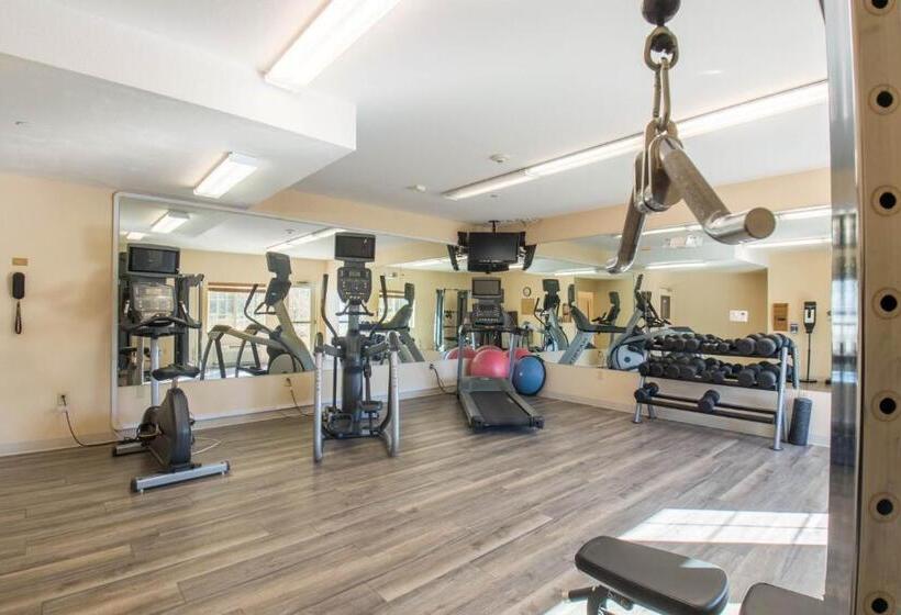 فندق Western Slope Suites Parachute