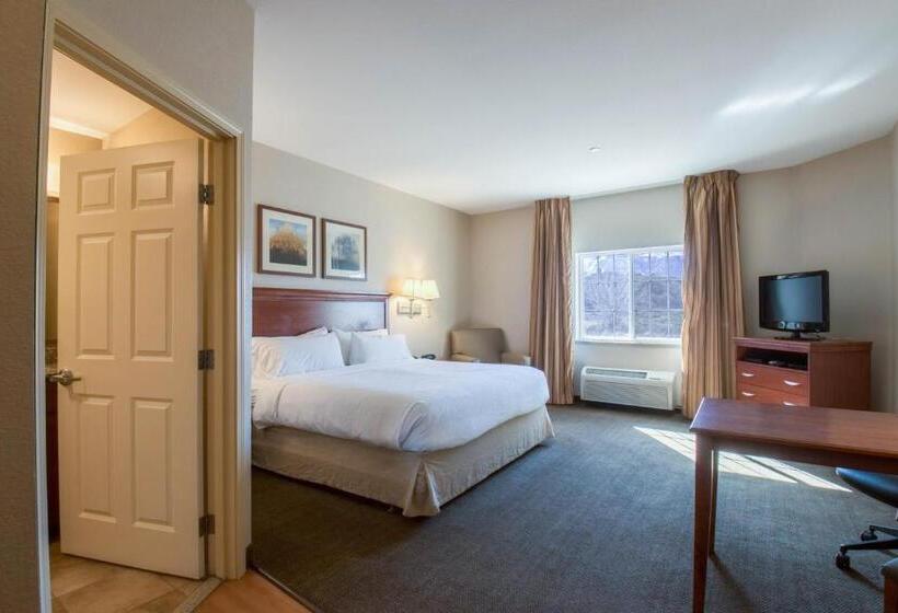 فندق Western Slope Suites Parachute