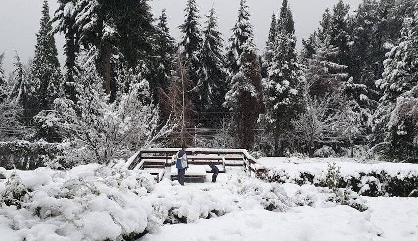 リゾートホテル Aldea Andina Hotel & Spa