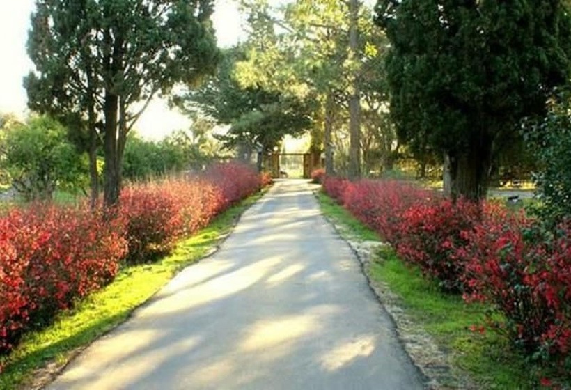 리조트 De Campo Colon