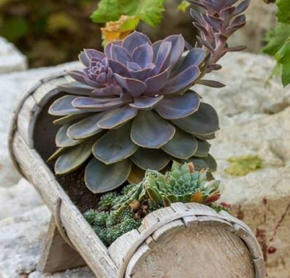 호스텔 Peruzovic Rooms 1