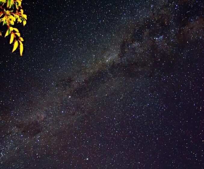 مبيت وإفطار Te Mahuru Retreat